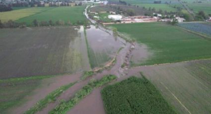 Colapsa presa en Pénjamo por fuertes lluvias; inundan zonas de cultivo