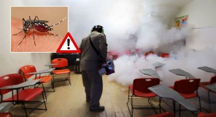 Nuevo pico de dengue en Veracruz sería más peligroso que años pasados ¿Por qué?