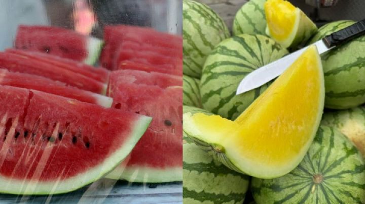 Sandía amarilla, la fruta poco conocida que se vende en Veracruz