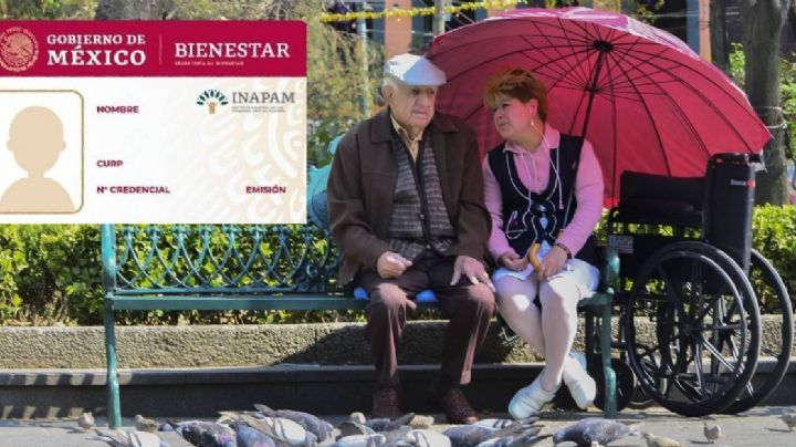 Guanajuato: ¿Tienes tarjeta Inapam?, cuidado, así podrías perder sus beneficios