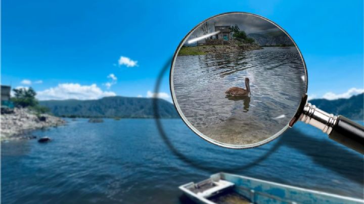 Renace laguna de Metztitlán, así se ve con más agua tras la sequía