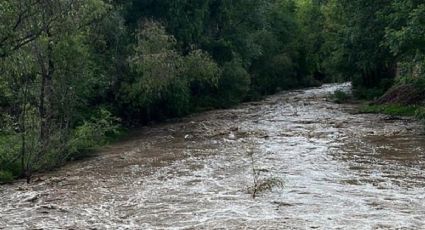 Así de lleno va el río de Comanja que baja de la sierra rumbo a El Palote