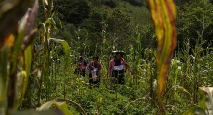 Sólo 2 de cada 10 mujeres son dueñas de tierras, aumentar su cantidad es el objetivo: Edna Vega