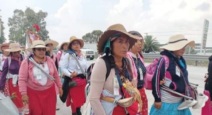 25,000 peregrinos avanzan por la México-Querétaro rumbo a la Basílica de Guadalupe