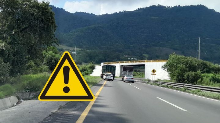 Muere hospitalizado hombre baleado en intento de asalto en Maltrata