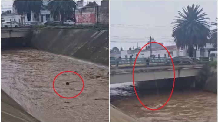 Cae persona a río de Tulancingo, es arrastrada por la corriente | VIDEO