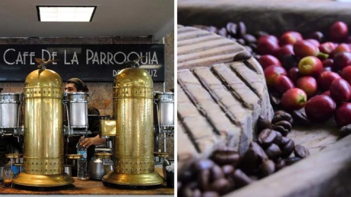 ¿Cuántas zonas cafetaleras tiene Veracruz?