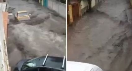 Lluvias desbordan río en Victoria Guanajuato y arrastra autos y árboles | VIDEO