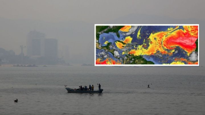 ¿Cuándo llegaría el Polvo del Sahara a Veracruz? Esto se sabe