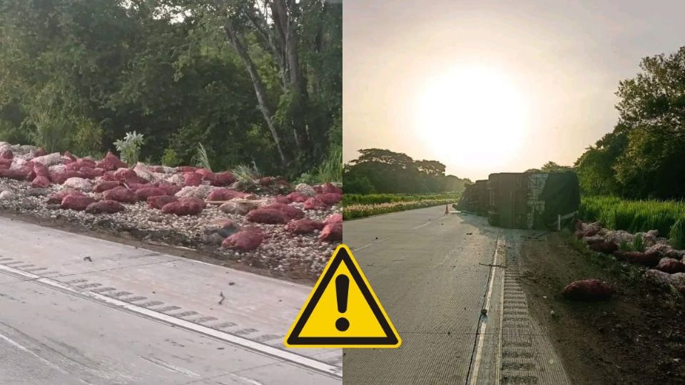 Vuelca tráiler cargado con cebollas en carretera del sur de Veracruz hoy 28 de julio