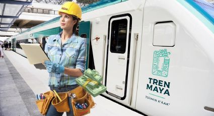 Tren Maya: Estos son los empleos a los que puedes postular durante agosto 2024