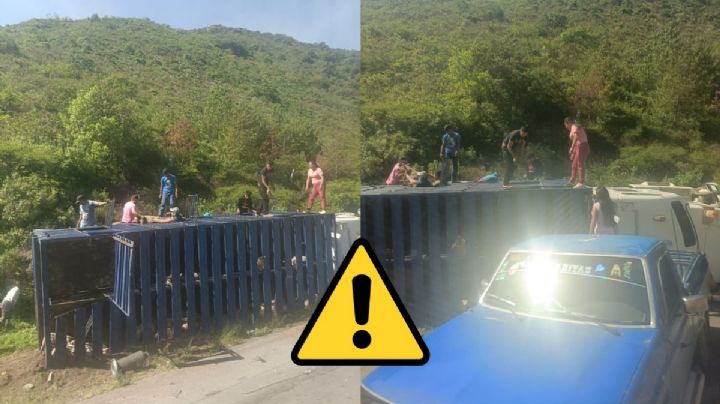 Roban cerdos tras accidente en cumbres de Acultzingo hoy 29 de julio