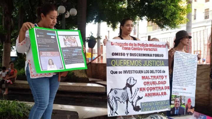Maltrato animal, impune en Veracruz a 10 años de ser tipificado como delito