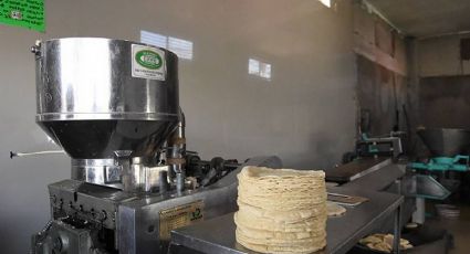 ¿Incrementará el precio de la tortilla en Guanajuato?