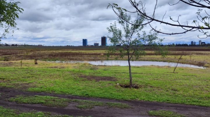 El primer charco en la Presa del Palote del Parque Metropolitano