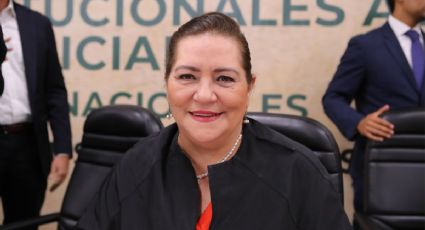 Reforma Judicial: INE podría enfrentar retos en la elección de jueces, advierte Taddei