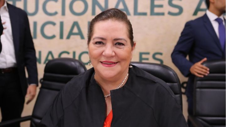 Reforma Judicial: INE podría enfrentar retos en la elección de jueces, advierte Taddei