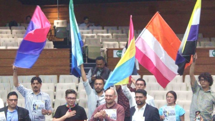 Congreso de Hidalgo aprueba Ley Ociel Baena en Hidalgo, con la agravante de crímenes de odio