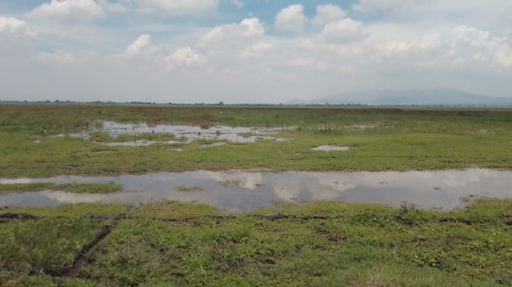 Rehidratación de la laguna de Zumpango desata disputa territorial en Edomex