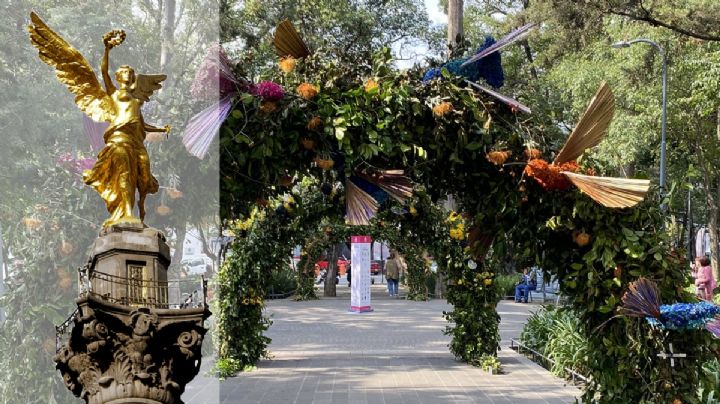 Así será la Feria de las Flores 2024 en la CDMX | Fechas, horarios, conciertos GRATIS y todo lo que debes saber