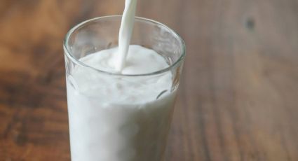 Leche que no es leche: Estas son las marcas que tienen más soya según Profeco