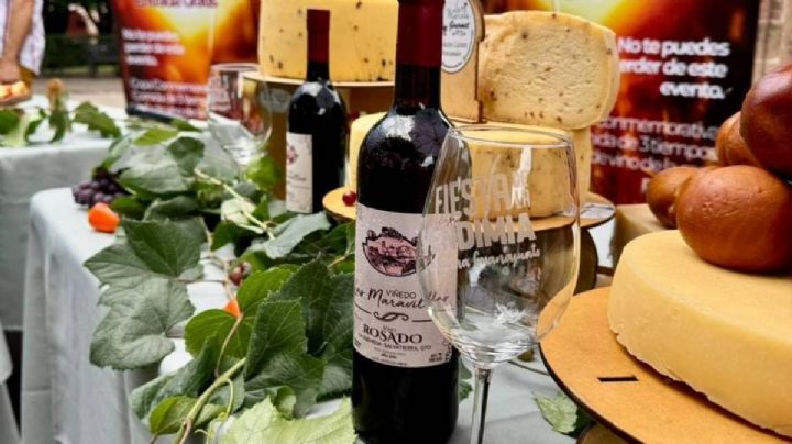 ¿Se te antoja un vino? Este viñedo te invita a su vendimia gratis