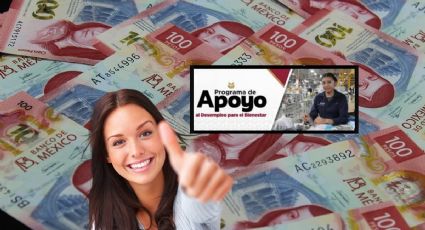 Apoyo al Desempleo para el Bienestar: Así puedes recibir 2,000 pesos