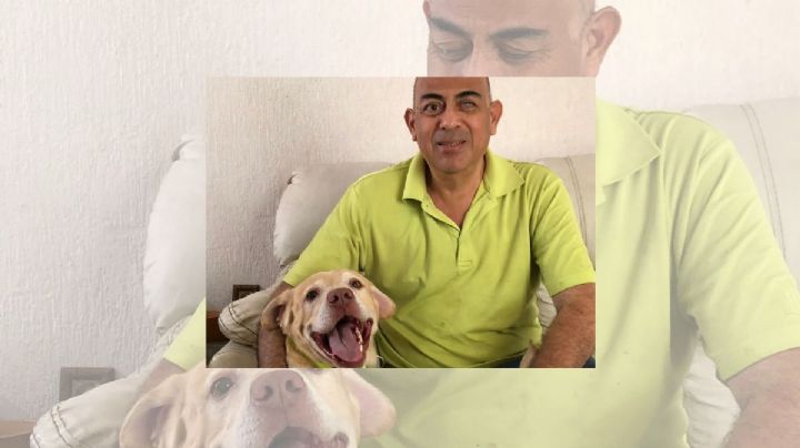 Ducky, el perrito guía que se hizo viral tras extraviarse en Veracruz 