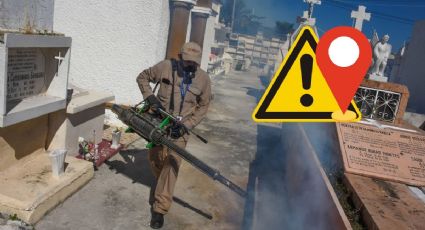 Dengue en Veracruz: Estos son los 4 municipios de más riesgo de contagio