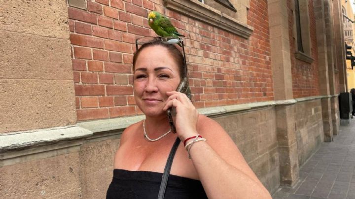 ¿Qué le pasa a la gente en las calles de León? Mujer pasea a su "periquijo" | VIDEO