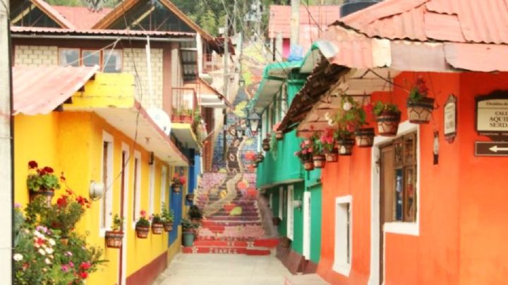 Empresarios asiáticos se interesaron en adquirir tierras en Omitlán