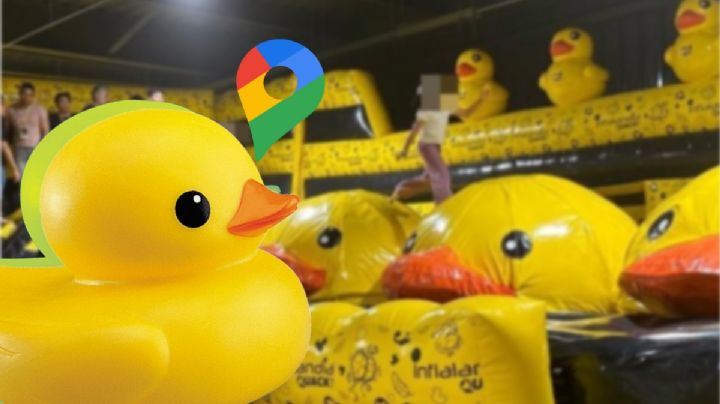 Inflalandia Quack: así es el parque con patos inaugurado en Pachuca; checa costos