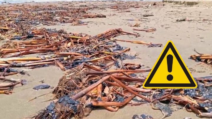 Por derrame, llega de nueva cuenta hidrocarburo a playas de Coatzacoalcos