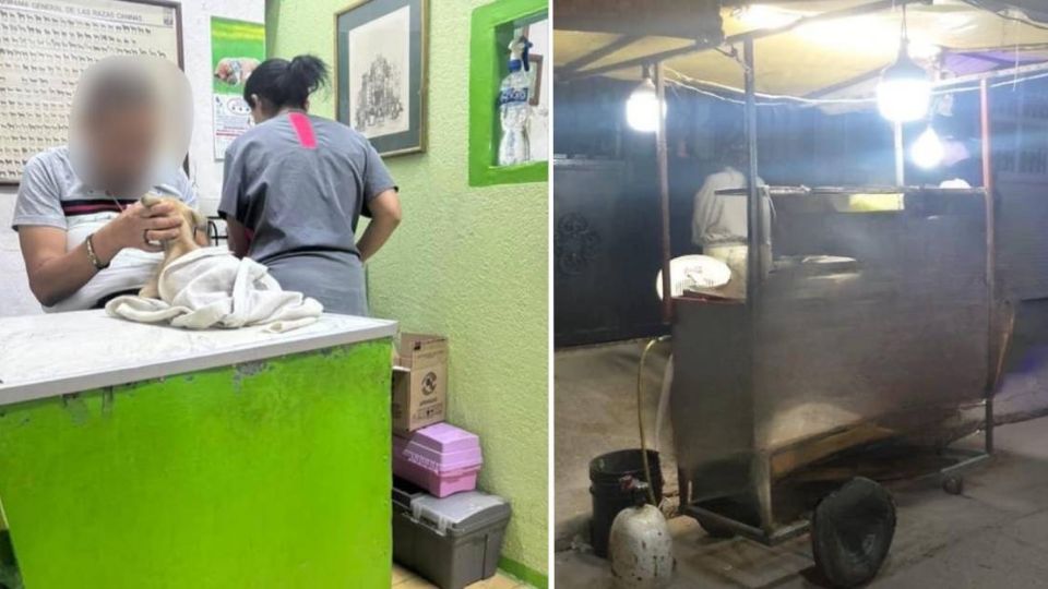 El perrito fue auxiliado por personas que lo llevaron a que lo atendiera un veterinario.
