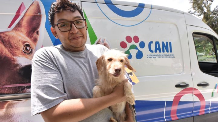 Lomitos y michis rescatados encuentran nuevo hogar en Irapuato