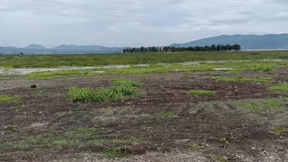 Todavía no se ha recuperado la Laguna de Yuriria.