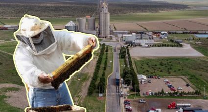 Apicultores contra Granjas Carroll: Acusan a empresa por daños ambientales en Puebla