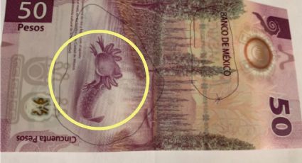 Así es el billete del ajolote que vale 890,000 pesos; pagará el tequila para dar el Grito el 15 de septiembre