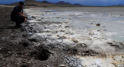 Chihuahua vive el peor desastre ecológico por extrema sequía