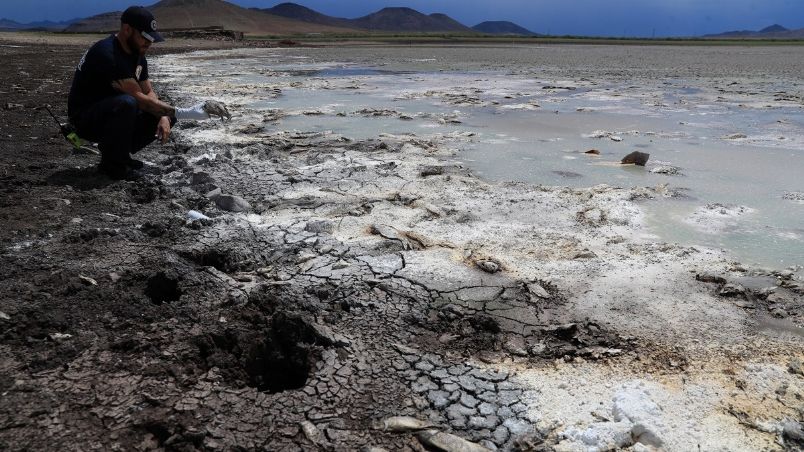 Chihuahua, el estado más grande del país presenta algún grado de sequía severo o extremo