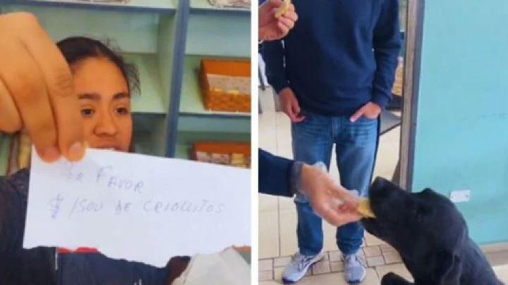 Esta es la historia del perrito repartidor que conquista con sus adorables entregas