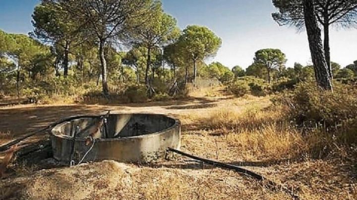 Buscaron personas desaparecidas en 5 pozos durante julio en Celaya