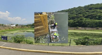 Intencionalmente, arrojan basura a la Laguna del Chirimoyo de Orizaba: Alcalde