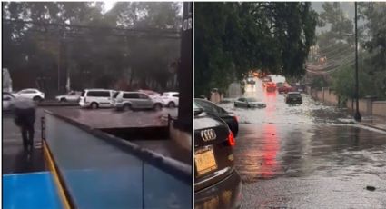 Lluvia causa estragos en la CDMX: Árboles caídos, deslizamientos y encharcamientos