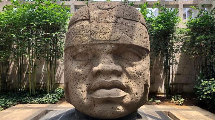 Por esta razón movieron la cabeza Olmeca de Xalapa de 6 toneladas a los Emiratos Árabes