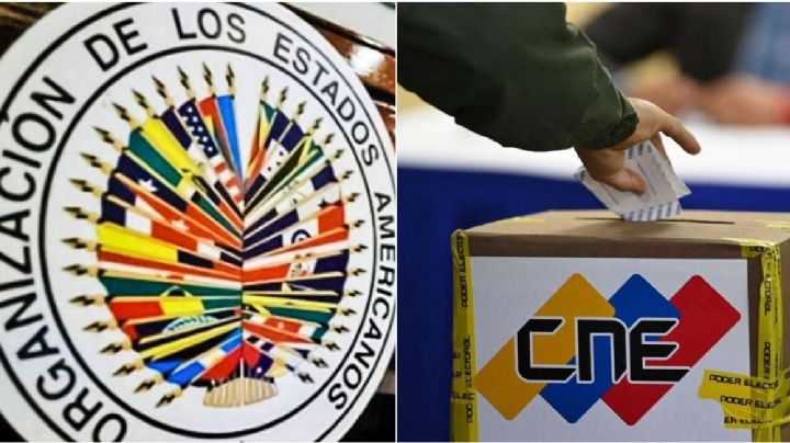 Venezuela: La OEA pide publicar las actas electorales
