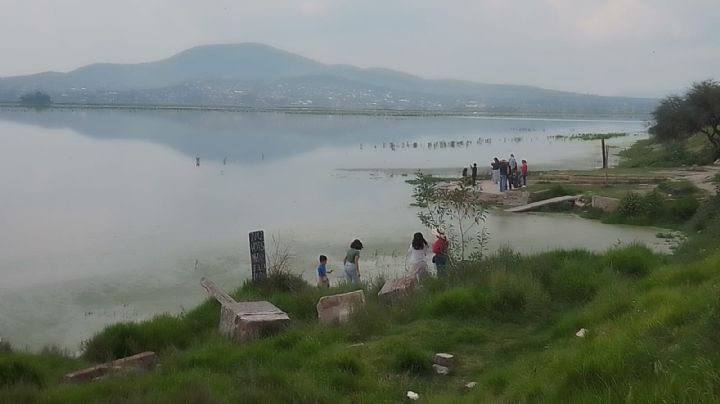 Lluvias recuperan la Laguna de Zumpango en Edomex