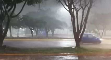 Autos: en tiempo de lluvias, estos son los puntos de seguridad no negociables