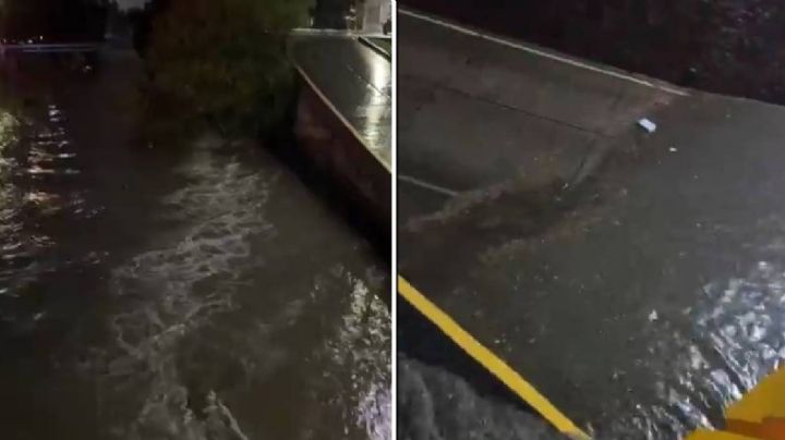 Intensa lluvia provoca inundaciones, árboles caídos, caos vial y zonas sin luz en  León
