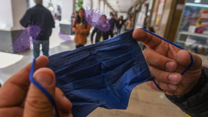 Viruela del mono en Veracruz: te decimos cómo prevenirte de la infección